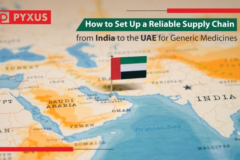 How to Set Up a Reliable Supply Chain from India to the UAE for Generic Medicines?