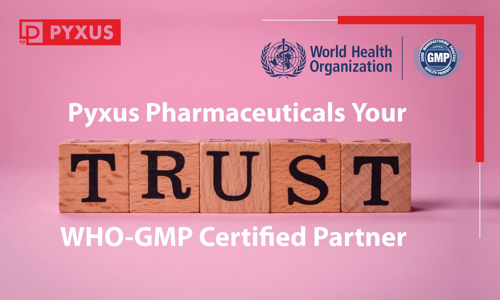 Pyxus Pharmaceuticals – Your Trusted WHO-GMP Certified Partner