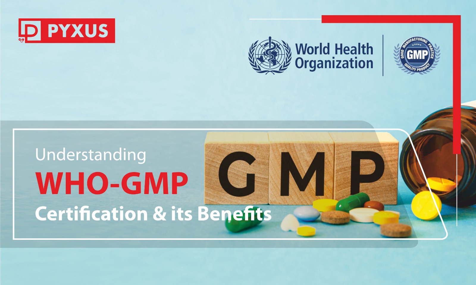 Understanding WHO-GMP Certification and Its Benefits