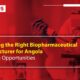 Choosing the Right Biopharmaceutical Manufacturer for Angola Trends & Opportunities